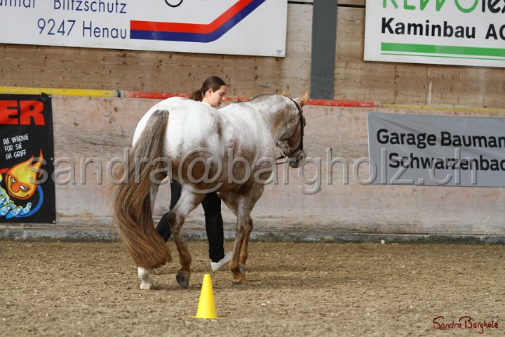 24-ApHC HIH_014.jpg